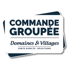 Logo Domaines et Villages